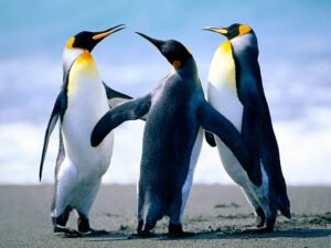 OpenStation Blog: Drag, Drop, Preview: An Ordinary Day Writing in OpenStation